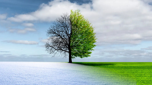 Kevään muoti naiselle – pukeudu tyylikkäästi säässä kuin säässä